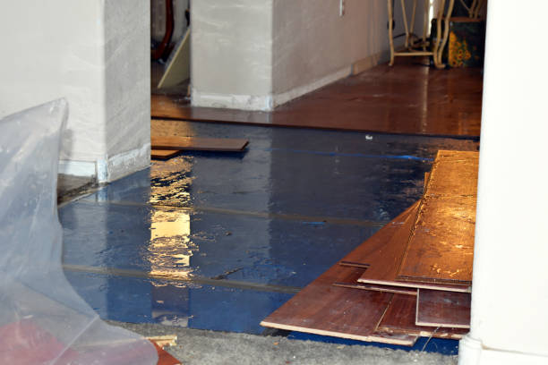 Professional Burst Pipe Cleanup technician working in Kingsville, TX